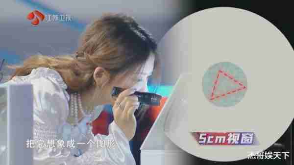 《最强大脑》国际赛项目难度翻车，观众秒解答案，水哥急得团团转（最强大脑挑战赛全国巡讲真的吗）-第13张图片-九妖电影
