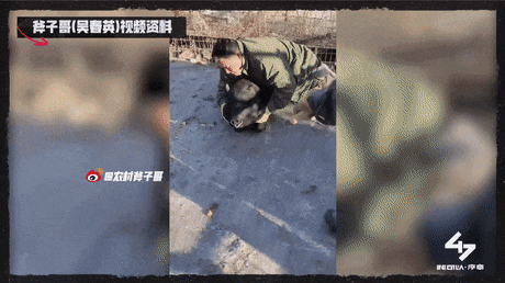 《极限挑战》后,又一新综来了,甄子丹甘心作配,网友:神综降临(极限挑战2013在线观看)-第40张图片-九妖电影 《极限挑战》后,又一新综来了,甄子丹甘心作配,网友:神综降临(极限挑战2013在线观看)-第40张图片-九妖电影