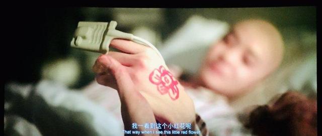 《送你一朵小红花》:悲剧中的亲情,当代社会情感结构(送你一朵小红花简析)-第15张图片-九妖电影 《送你一朵小红花》:悲剧中的亲情,当代社会情感结构(送你一朵小红花简析)-第15张图片-九妖电影
