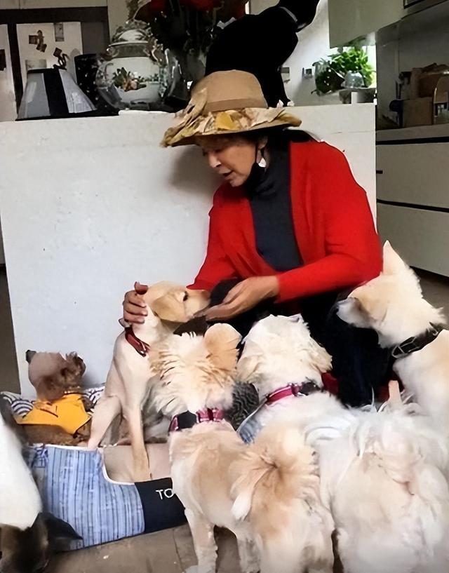 一嫁日本,二嫁美国,三嫁法国,扬言不嫁中国的李勤勤,现在怎样(李勤勤嫁过几个外国人)-第21张图片-九妖电影 一嫁日本,二嫁美国,三嫁法国,扬言不嫁中国的李勤勤,现在怎样(李勤勤嫁过几个外国人)-第21张图片-九妖电影