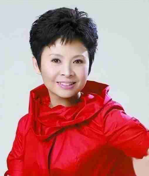 一百万一夜？赖昌星揭露两人真实关系，歌唱家董文华为何会退圈？（赖昌声与董文华谁厉害）-第9张图片-九妖电影