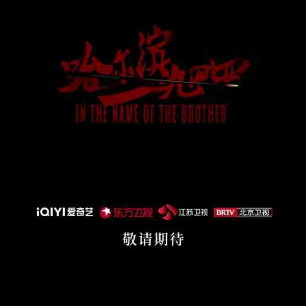 三大卫视联播！40集谍战剧来了，秦昊杨幂领衔，9大戏骨坐镇，这剧熬夜也要追（卫视连续剧2023年）-第3张图片-九妖电影