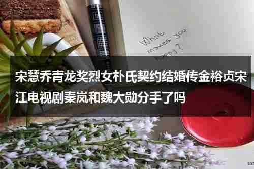 宋慧乔青龙奖烈女朴氏契约结婚传金裕贞宋江电视剧秦岚和魏大勋分手了吗（宋慧乔与朴宝剑有可能成朋友吗）-第1张图片-九妖电影