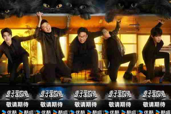 《盒子里的猫》重磅来袭，全新模式备受期待！（盒子里的猫全结局）-第1张图片-九妖电影