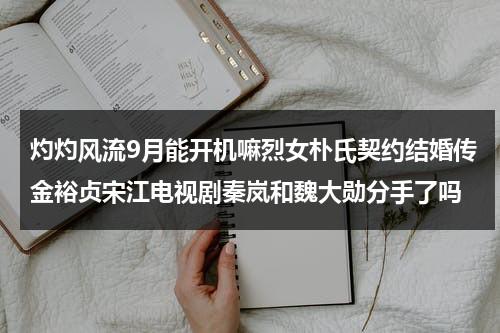 灼灼风流9月能开机嘛烈女朴氏契约结婚传金裕贞宋江电视剧秦岚和魏大勋分手了吗（灼灼风采是什么意思）-第1张图片-九妖电影