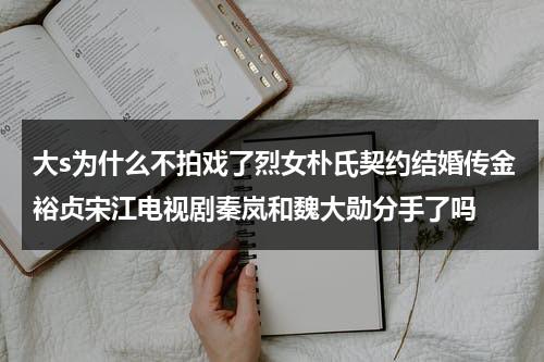 大s为什么不拍戏了烈女朴氏契约结婚传金裕贞宋江电视剧秦岚和魏大勋分手了吗（大s为什么婚变）-第1张图片-九妖电影
