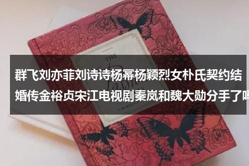 群飞刘亦菲刘诗诗杨幂杨颖烈女朴氏契约结婚传金裕贞宋江电视剧秦岚和魏大勋分手了吗（刘亦菲和刘诗诗是什么关系）-第1张图片-九妖电影
