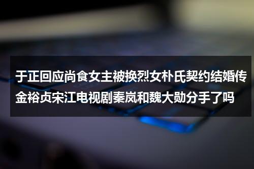 于正回应尚食女主被换烈女朴氏契约结婚传金裕贞宋江电视剧秦岚和魏大勋分手了吗（于正韩剧）-第1张图片-九妖电影