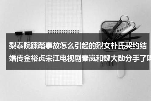 梨泰院踩踏事故怎么引起的烈女朴氏契约结婚传金裕贞宋江电视剧秦岚和魏大勋分手了吗（梨泰院男主朴叙俊）-第1张图片-九妖电影