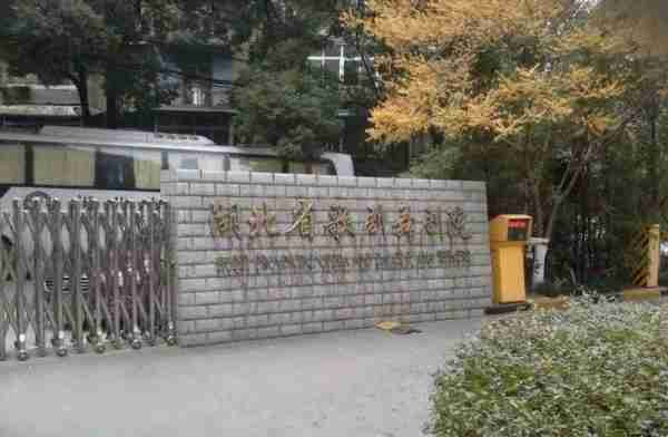 他主演《洪湖赤卫队》爆红，因癌病逝，妻子也是著名演员（电影《洪湖赤卫队》演员表）-第10张图片-九妖电影