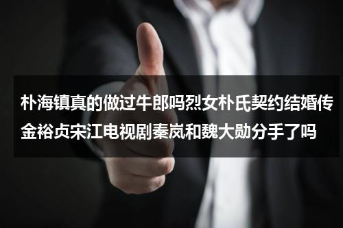 朴海镇真的做过牛郎吗烈女朴氏契约结婚传金裕贞宋江电视剧秦岚和魏大勋分手了吗（朴海镇视频）-第1张图片-九妖电影