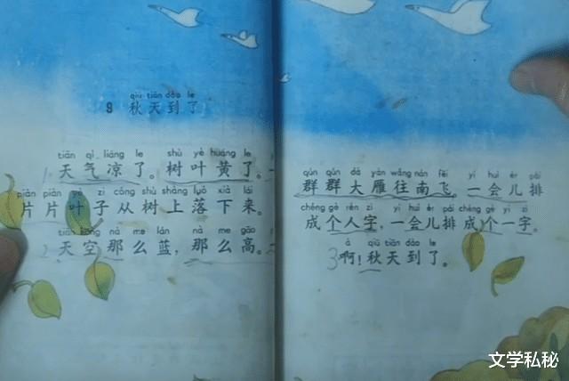 一年级课文《秋天》溯源，莫言《红高粱》照搬课文，足见其生命力（秋天写一句话简单一点）-第7张图片-九妖电影