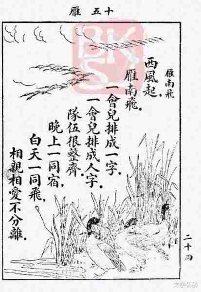 一年级课文《秋天》溯源，莫言《红高粱》照搬课文，足见其生命力（秋天写一句话简单一点）-第16张图片-九妖电影
