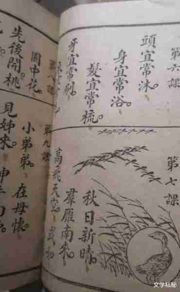 一年级课文《秋天》溯源，莫言《红高粱》照搬课文，足见其生命力（秋天写一句话简单一点）-第33张图片-九妖电影