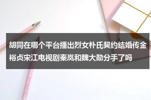 胡同在哪个平台播出烈女朴氏契约结婚传金裕贞宋江电视剧秦岚和魏大勋分手了吗（胡同导演）-第1张图片-九妖电影
