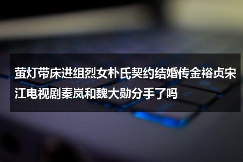 萤灯带床进组烈女朴氏契约结婚传金裕贞宋江电视剧秦岚和魏大勋分手了吗（荧光灯带en是什么意思?）-第1张图片-九妖电影