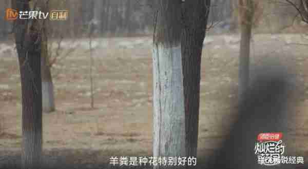 不要编剧，主打真实，张颂文的花园有人类向往的生活-第2张图片-九妖电影