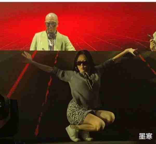 光头先生演唱会圆满结束，全家老小齐上阵，过气明星悉数到场助威（光头歌唱家叫什么名字）-第5张图片-九妖电影