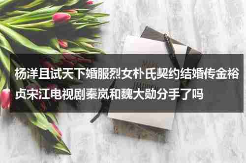 杨洋且试天下婚服烈女朴氏契约结婚传金裕贞宋江电视剧秦岚和魏大勋分手了吗（杨洋且试天下定妆）-第1张图片-九妖电影