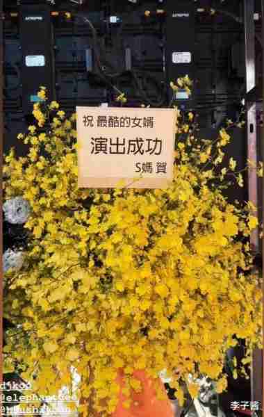 具俊晔举办演唱会，内场约900人，小s一家也来了，S妈还大赞女婿（具俊晔公开与大s交往1年）-第3张图片-九妖电影