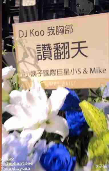 具俊晔举办演唱会，内场约900人，小s一家也来了，S妈还大赞女婿（具俊晔公开与大s交往1年）-第6张图片-九妖电影