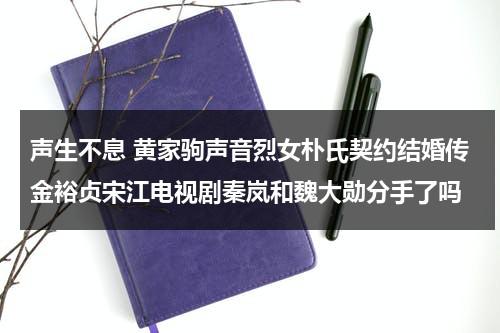 声生不息 黄家驹声音烈女朴氏契约结婚传金裕贞宋江电视剧秦岚和魏大勋分手了吗（黄家驹生死）-第1张图片-九妖电影