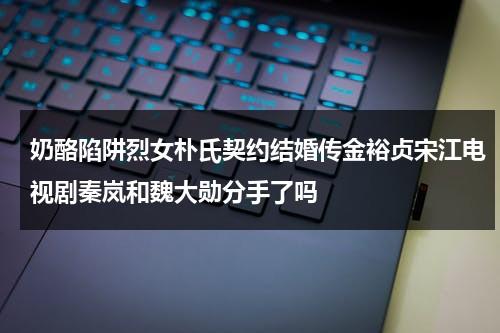 奶酪陷阱烈女朴氏契约结婚传金裕贞宋江电视剧秦岚和魏大勋分手了吗（奶酪陷阱到底在讲什么:《奶酪陷阱》朴海镇方）-第1张图片-九妖电影