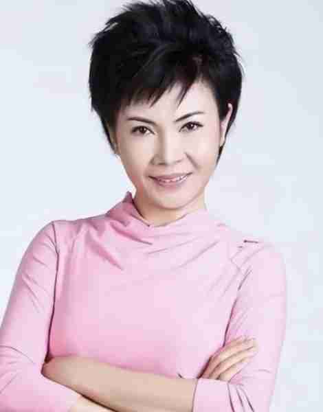 主持人阚丽君：连登三届春晚，64岁还未婚，她到底在追求什么？（阚丽君的年龄）-第15张图片-九妖电影