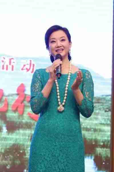 事实证明，退出春晚舞台的宋祖英，已经走上了另一条路!（春晚结束音乐叫什么）-第46张图片-九妖电影