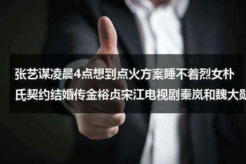 张艺谋凌晨4点想到点火方案睡不着烈女朴氏契约结婚传金裕贞宋江电视剧秦岚和魏大勋分手了吗（shadow电影 张艺谋）-第1张图片-九妖电影