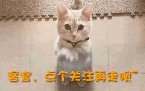 能驾驭得了“短发”的女星,只服这5位,热巴们就别硬上弓了-第26张图片-九妖电影 能驾驭得了“短发”的女星,只服这5位,热巴们就别硬上弓了-第26张图片-九妖电影