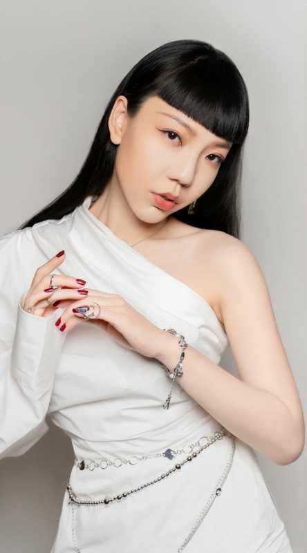 从“顶流明星”到“无人问津”，曾经中国好声音新秀，现在都怎样（中国好声音大佬）-第7张图片-九妖电影