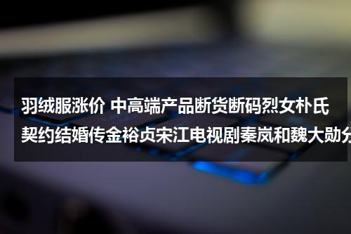 羽绒服涨价 中高端产品断货断码烈女朴氏契约结婚传金裕贞宋江电视剧秦岚和魏大勋分手了吗（女羽绒服知乎）-第1张图片-九妖电影