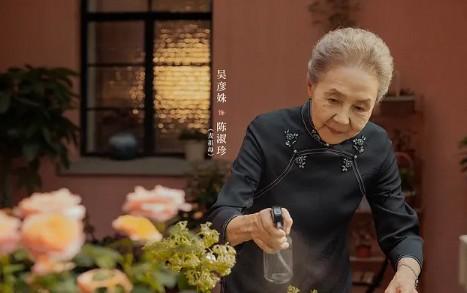 剧荒请进！盘点近期好看的电视剧（近期较好看的电视剧）-第19张图片-九妖电影