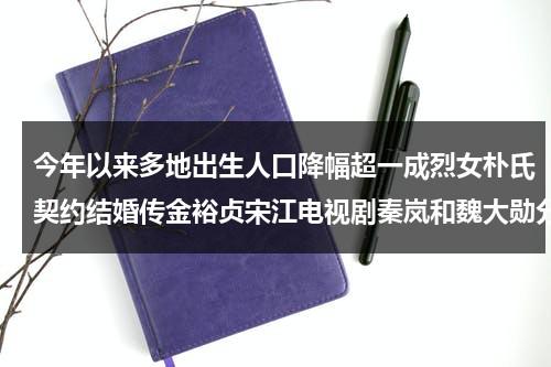 今年以来多地出生人口降幅超一成烈女朴氏契约结婚传金裕贞宋江电视剧秦岚和魏大勋分手了吗（今年全国出生人口）-第1张图片-九妖电影