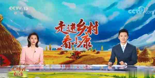 他是央视最帅主持人，30岁进央视，34岁上春晚，如今38岁感情成谜（最帅的央视主持人男的是谁）-第22张图片-九妖电影