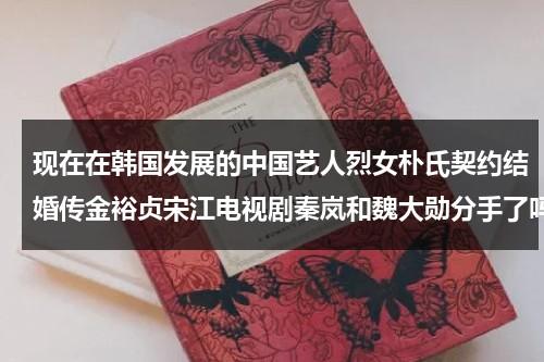 现在在韩国发展的中国艺人烈女朴氏契约结婚传金裕贞宋江电视剧秦岚和魏大勋分手了吗（金裕贞与朴宝剑）-第1张图片-九妖电影