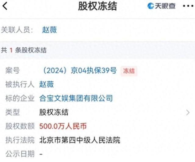 又500万被冻结！从爆红到人人喊打，当年赵薇因一个举动惨遭封杀（赵薇6000万30亿）-第2张图片-九妖电影
