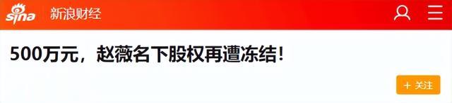 又500万被冻结！从爆红到人人喊打，当年赵薇因一个举动惨遭封杀（赵薇6000万30亿）-第82张图片-九妖电影