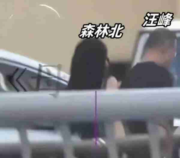 又一大瓜！汪峰新恋情曝光，小19岁女友竟是百万网红，网友气疯了（汪峰的恋情）-第6张图片-九妖电影