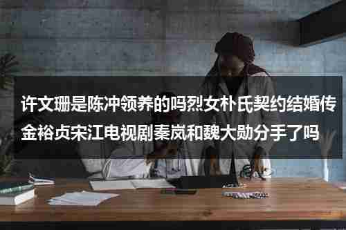 许文珊是陈冲领养的吗烈女朴氏契约结婚传金裕贞宋江电视剧秦岚和魏大勋分手了吗（许文珊和陈冲的关系）-第1张图片-九妖电影