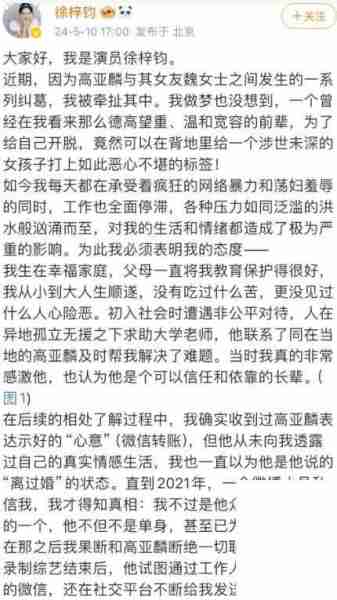 又反转了!高亚麟想和魏嘉复合并答应给孩子上户口，魏嘉回应打脸（高亚麟的妻子）-第14张图片-九妖电影