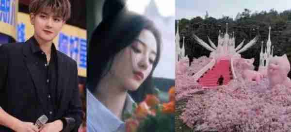 反转！知情人否认黄子韬求婚，粉丝集体破防：我们是paly的一环？（我想看黄子韬的综艺）-第7张图片-九妖电影