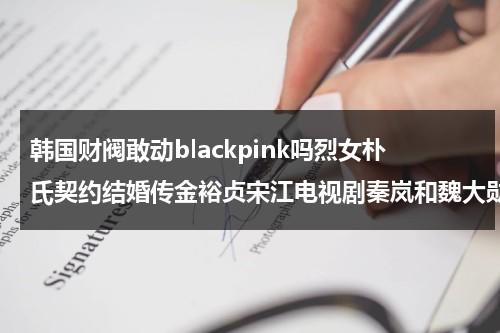 韩国财阀敢动blackpink吗烈女朴氏契约结婚传金裕贞宋江电视剧秦岚和魏大勋分手了吗（韩剧财阀剧情）-第1张图片-九妖电影