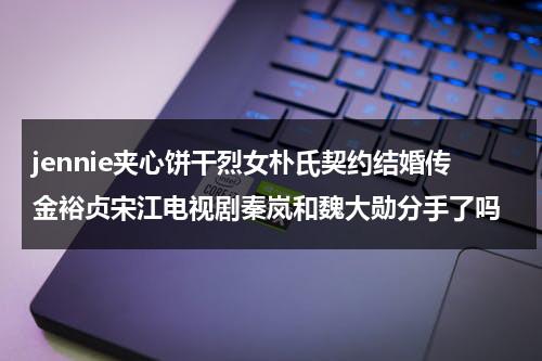 jennie夹心饼干烈女朴氏契约结婚传金裕贞宋江电视剧秦岚和魏大勋分手了吗（jennie夹心饼干台词）-第1张图片-九妖电影