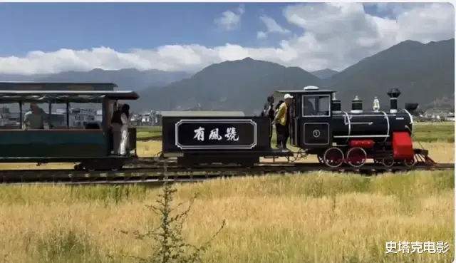 同是戴簪花，为啥「较土」的赵丽颖被央视力挺，毛晓彤，陈都灵却没出圈（赵丽颖为什么这么土）-第2张图片-九妖电影