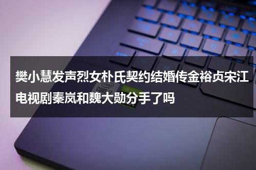 樊小慧发声烈女朴氏契约结婚传金裕贞宋江电视剧秦岚和魏大勋分手了吗（樊小慧儿直播哭的视频）-第1张图片-九妖电影