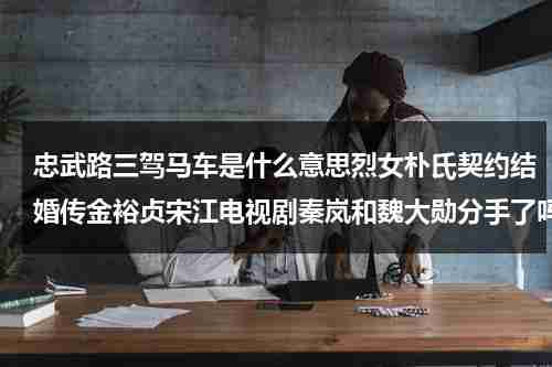 忠武路三驾马车是什么意思烈女朴氏契约结婚传金裕贞宋江电视剧秦岚和魏大勋分手了吗（忠武路三大男演员）-第1张图片-九妖电影