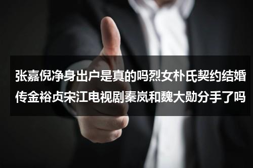 张嘉倪净身出户是真的吗烈女朴氏契约结婚传金裕贞宋江电视剧秦岚和魏大勋分手了吗（播放张嘉倪演的）-第1张图片-九妖电影