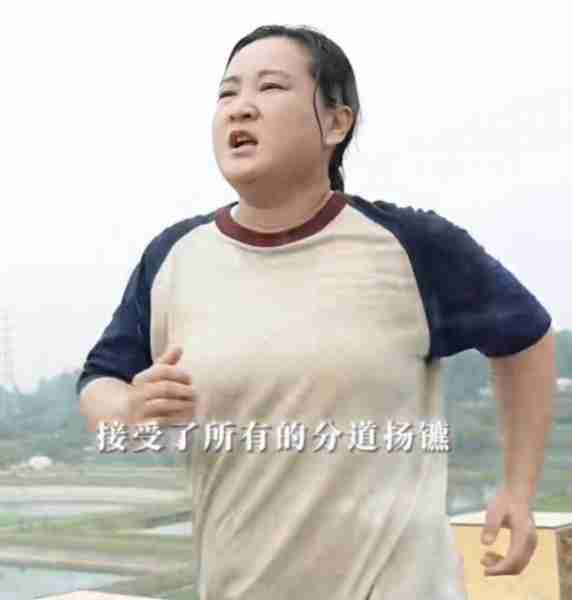 再见，贾玲！（贾玲小品再见李）-第2张图片-九妖电影